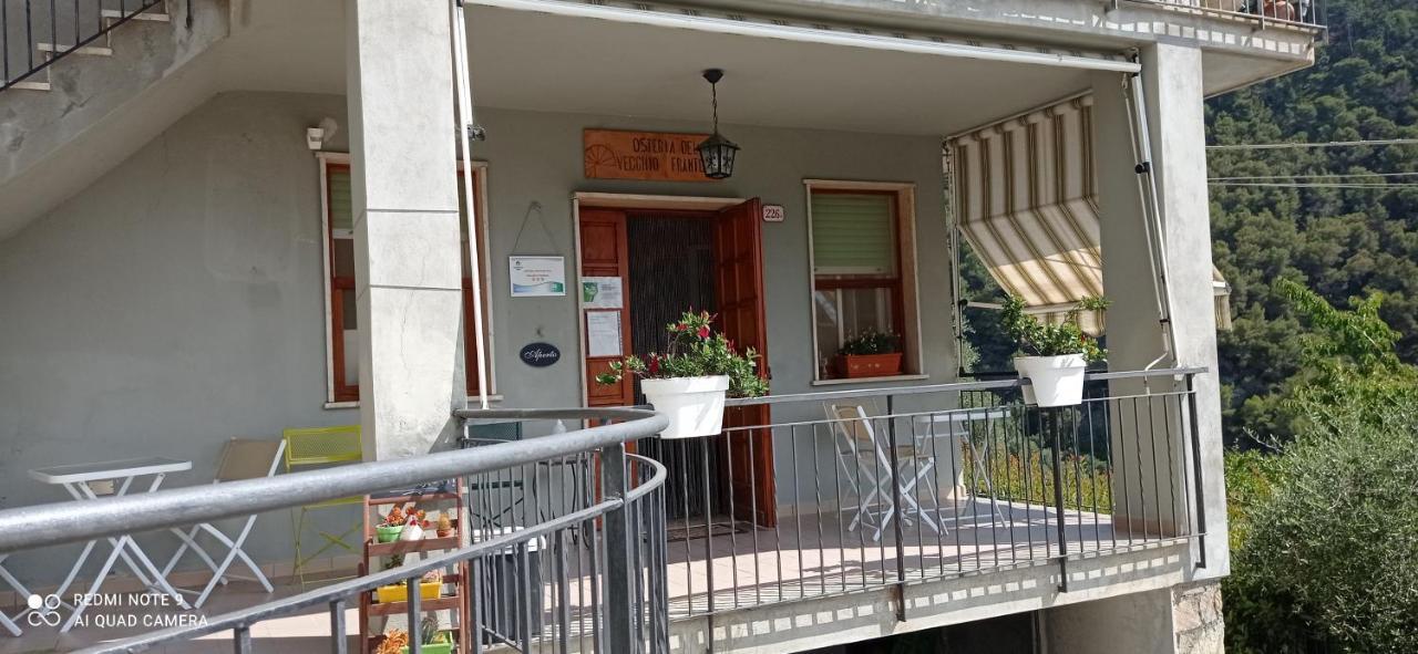 Agriturismo Vecchio Frantoio Villatella Bagian luar foto