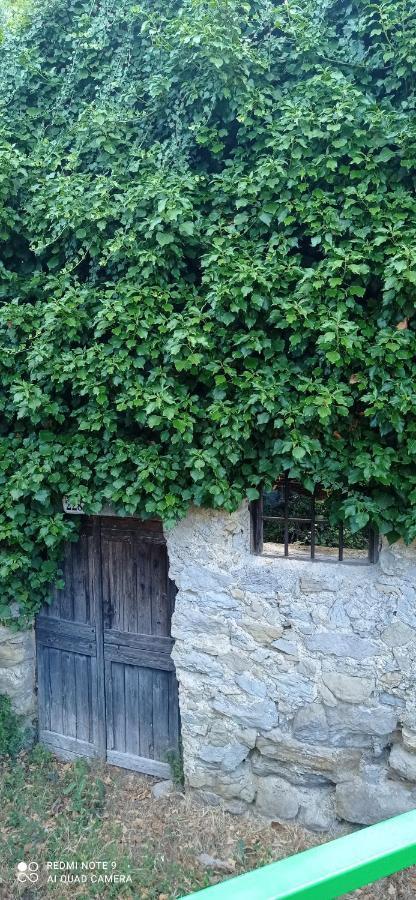 Agriturismo Vecchio Frantoio Villatella Bagian luar foto