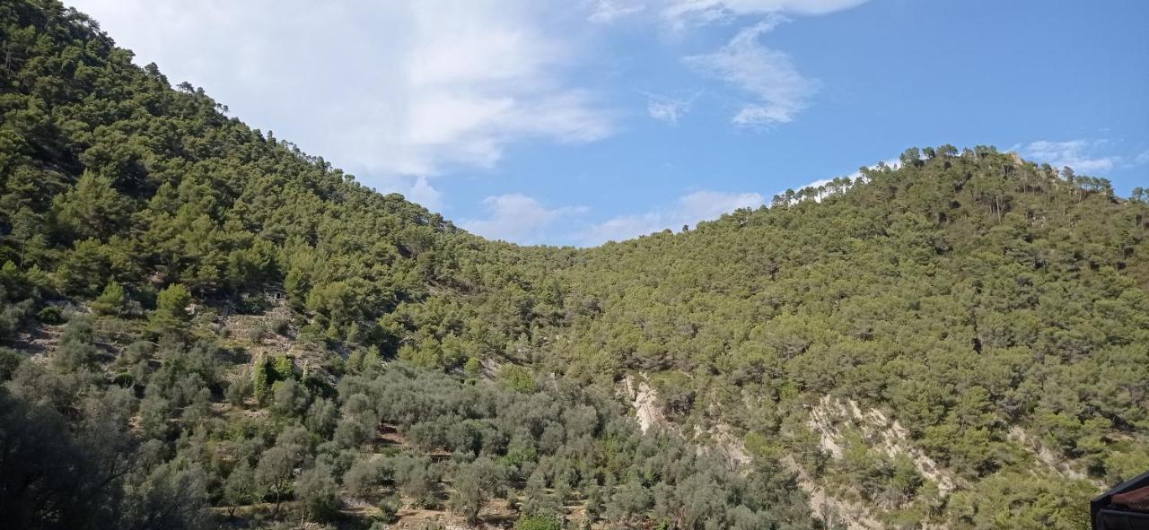 Agriturismo Vecchio Frantoio Villatella Bagian luar foto